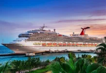 Working on Cruise Ships: Pros, Cons, and Requirements for Applicants Working on Cruise Ships