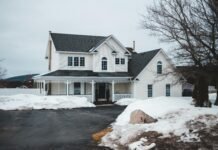 The Best Ways to Keep Pests Out of Your Home During Winter Home