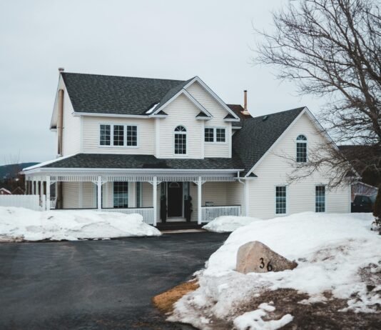 The Best Ways to Keep Pests Out of Your Home During Winter Home