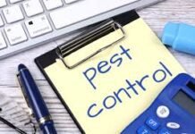 How To Rank Your Pest Control Website On Google: A Step By Step Guide Pest Control Website