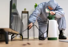 The Art of Creating Pest-Free Spaces: A Comprehensive Guide to Modern Pest Control Pest Control