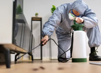 The Art of Creating Pest-Free Spaces: A Comprehensive Guide to Modern Pest Control Pest Control