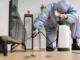 The Art of Creating Pest-Free Spaces: A Comprehensive Guide to Modern Pest Control Pest Control