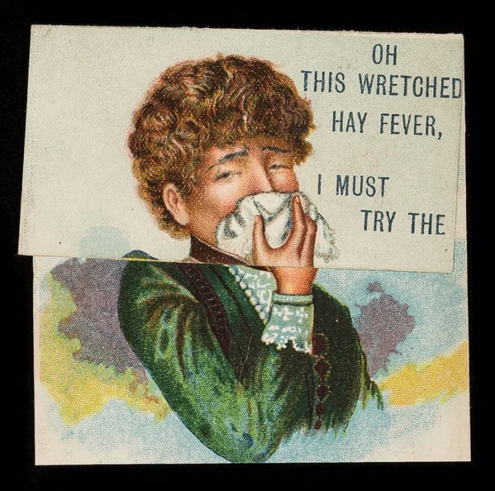 Mometasone Nasal Spray