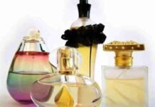 A journey through fragrance history Fragrance