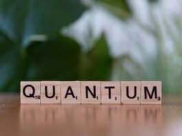 Quantum Processors