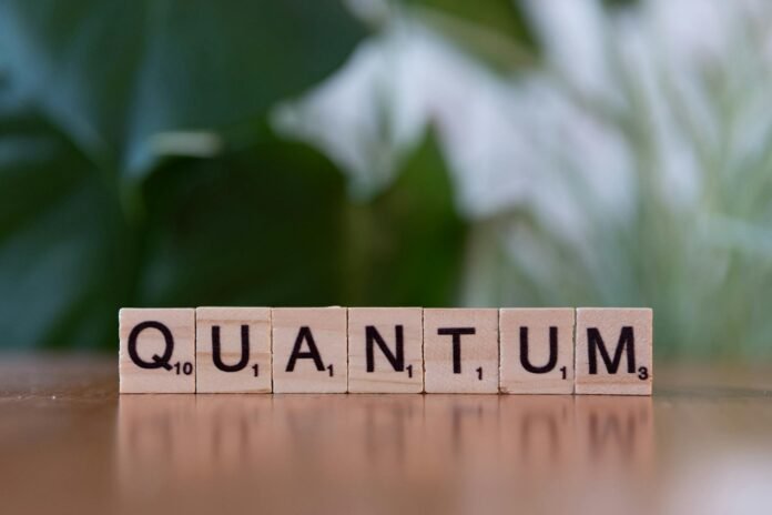 Quantum Processors