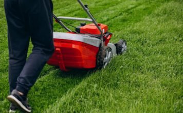 Lush Lawns All Year: Seasonal Secrets to Vibrant Grass Vibrant Grass