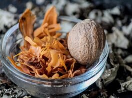 Ayurveda vs. Homeopathy