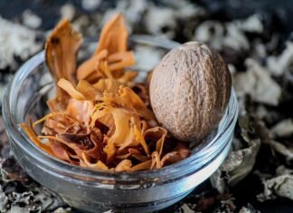 Ayurveda vs. Homeopathy: Understanding the Differences and Benefits of Natural Healing Systems Ayurveda vs. Homeopathy