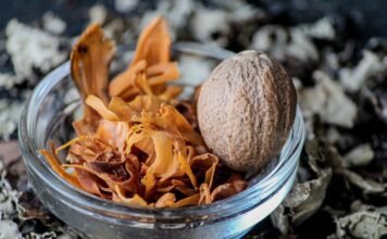 Ayurveda vs. Homeopathy: Understanding the Differences and Benefits of Natural Healing Systems Ayurveda vs. Homeopathy