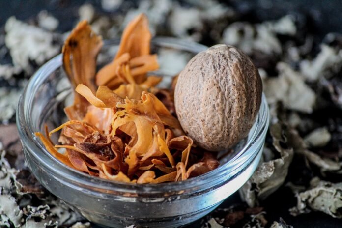 Ayurveda vs. Homeopathy: Benefits of Natural Healing System Ayurveda vs. Homeopathy