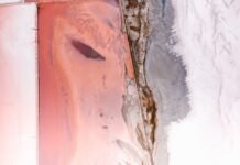 Innovative Techniques in Water Extraction That Are Changing the Game in San Diego Water Extraction