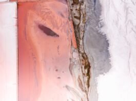 Water Extraction