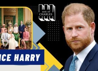 Prince Harry’s Age: The Duke Of Sussex At Every Stage And His Journey Through Royal Heritage, Royal Family III, Public Service, Assets, And Uncovering More Facts Prince Harry’s Age