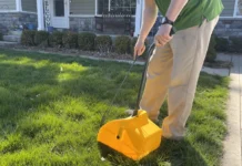 Why Luxury Pet Waste Removal Is the Best Choice for Busy Pet Owners Pet Waste Removal