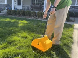 Pet Waste Removal