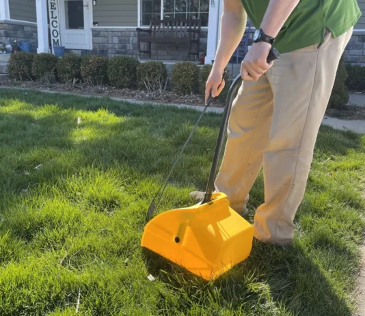 Why Luxury Pet Waste Removal Is the Best Choice for Busy Pet Owners Pet Waste Removal