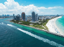 Miami SEO Services