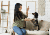 How to Design a Truly Pet-Friendly Home: Room-by-Room Guide Pet-Friendly Home