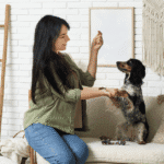How to Design a Truly Pet-Friendly Home: Room-by-Room Guide Pet-Friendly Home