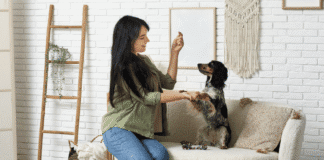 How to Design a Truly Pet-Friendly Home: Room-by-Room Guide Pet-Friendly Home