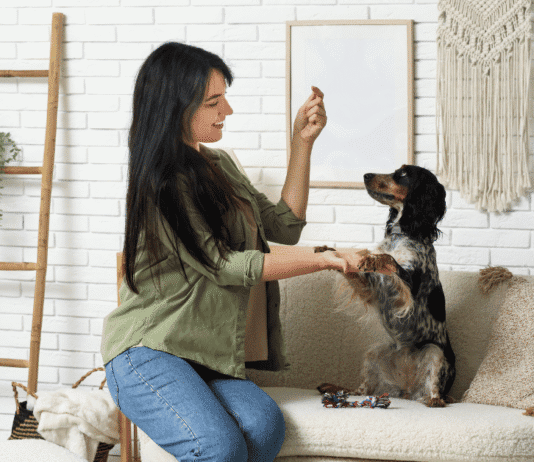 How to Design a Truly Pet-Friendly Home: Room-by-Room Guide Pet-Friendly Home
