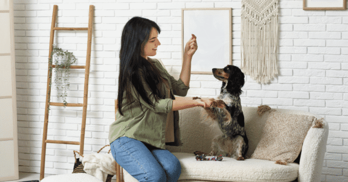 How to Design a Truly Pet-Friendly Home: Room-by-Room Guide Pet-Friendly Home