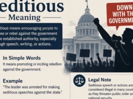 Seditious Meaning