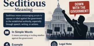 Seditious Meaning: A Complete Guide to Its Definition, Uses, and Legal Context Seditious Meaning
