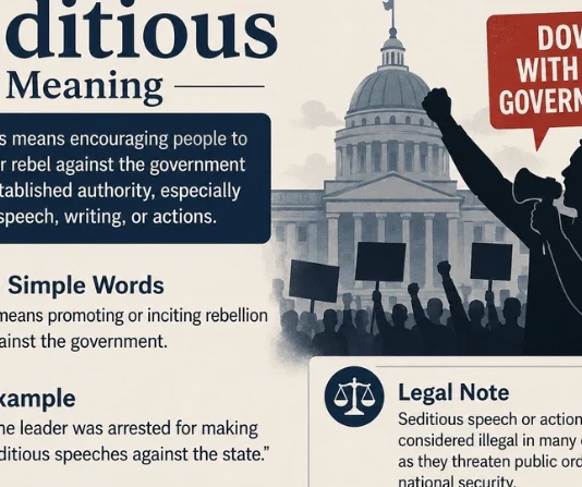 Seditious Meaning: A Complete Guide to Its Definition, Uses, and Legal Context Seditious Meaning