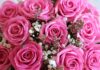 Pastel Pinks