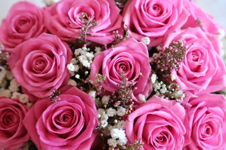 From Pastel Pinks to Deep Blues: Ordering Beautiful UK Hydrangeas with Flower Station 